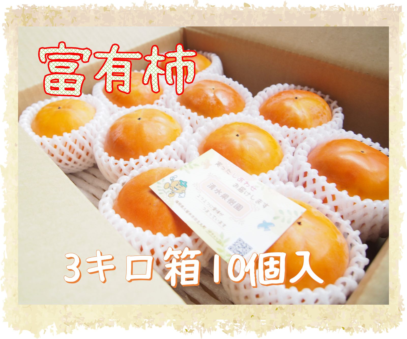 ナイキ　エアマックス90 メタリックゴールド　23.5cm 2025 BBM Fusion 始球式カード 新浜レオン 直筆サインカード 25枚限定