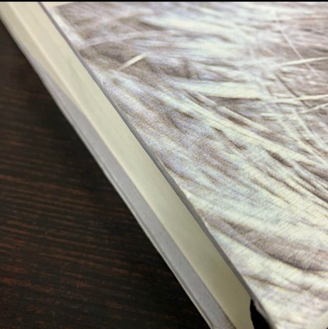 城将 武田の忠臣・秋山信友の生涯 鬼丸智彦 山梨日日新聞社