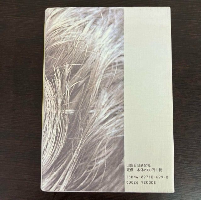 城将 武田の忠臣・秋山信友の生涯 鬼丸智彦 山梨日日新聞社