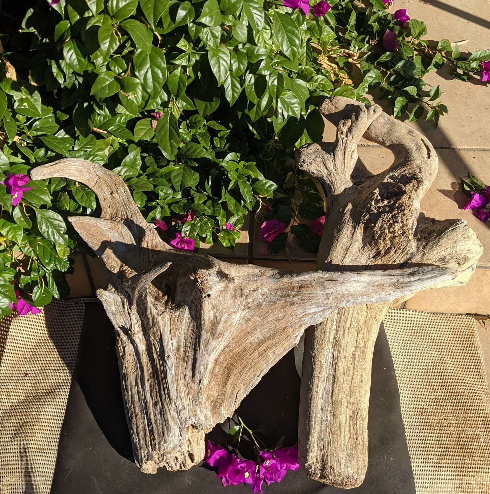 16ロックガーデン向き【超大型流木】2本組/洗浄済 - メルカリ