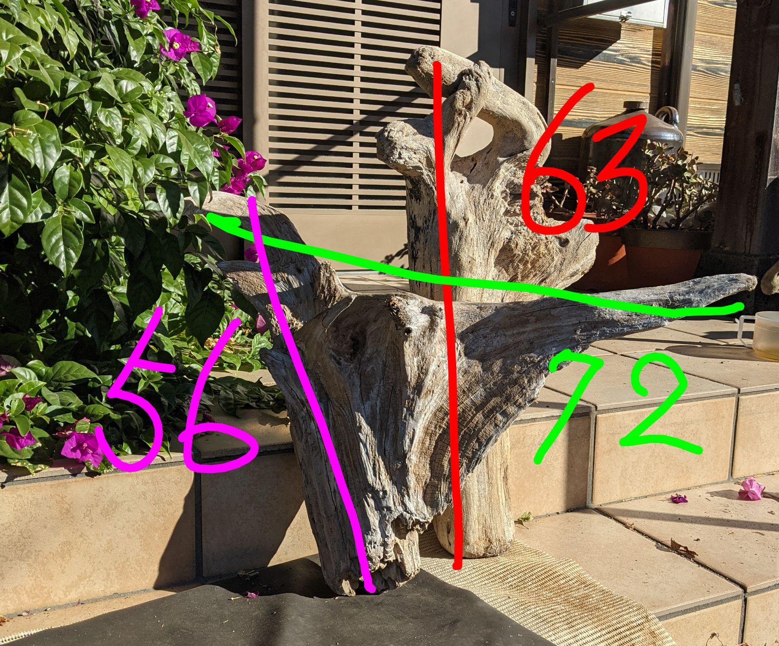 16ロックガーデン向き【超大型流木】2本組/洗浄済 16ロックガーデン