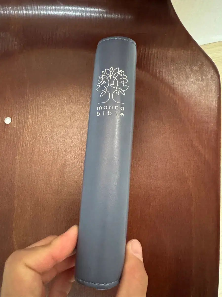 マンナ聖書 manna bible 聖書 本 ブルー