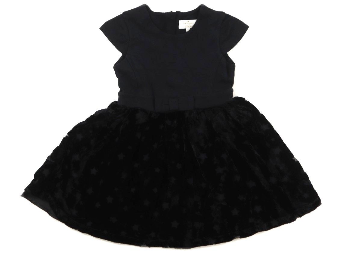 天然クロモジ 二本立苗木約270cm