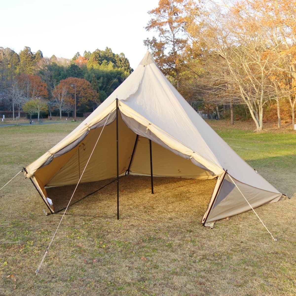 美品 サバティカル SABBATICAL モーニンググローリー TC キャンプ