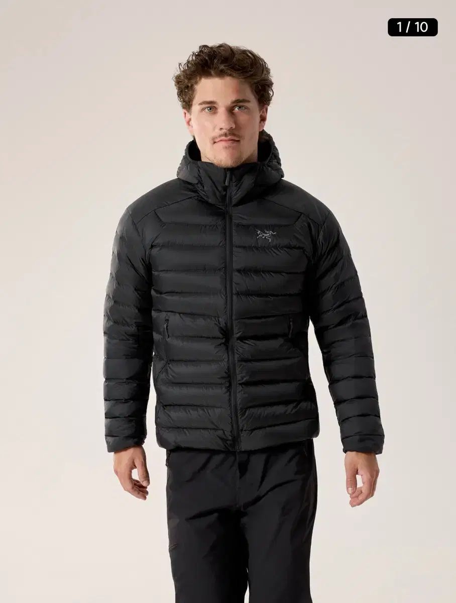 L 25fw ARC'TERYX アークテリクス 軽量ダウン セリウム フーディー