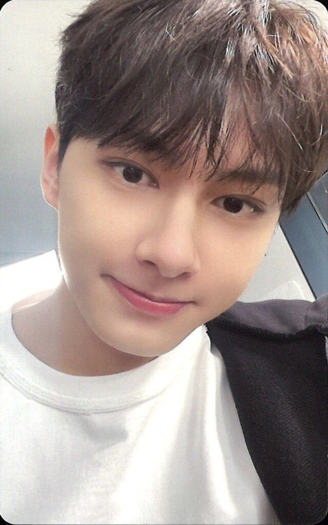 SEVENTEEN JUN 2022 CARAT LAND MEMORY BOOK+ デジタルコード