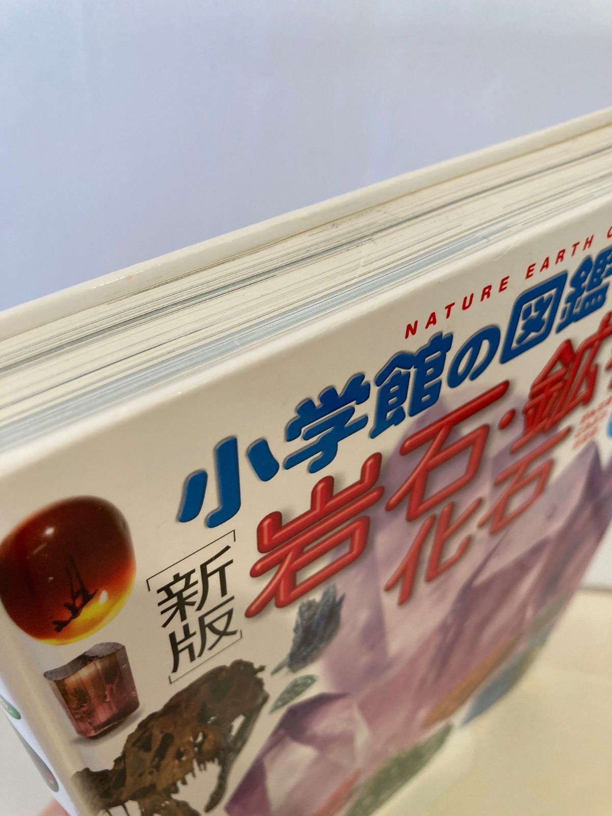 新版・DVD付き] 小学館の図鑑NEO 岩石・鉱物・化石 - メルカリ