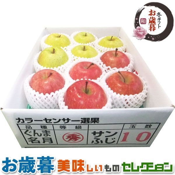 お歳暮 ギフト 青森 県産 サンふじ りんご + ぐんま名月 （2．5kg