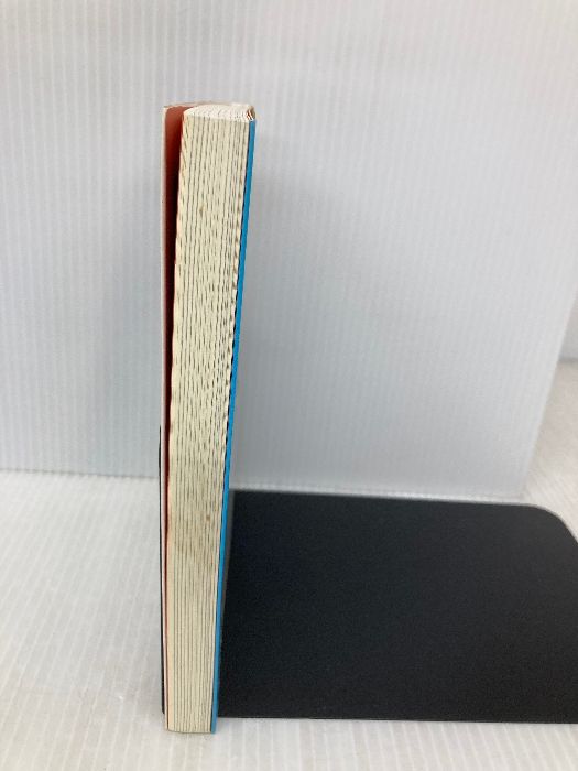 プロレスの経済学 自由競争 なんでもあり 時代 最強のビジネスモデル ジェイ インターナショナル 野呂 一郎