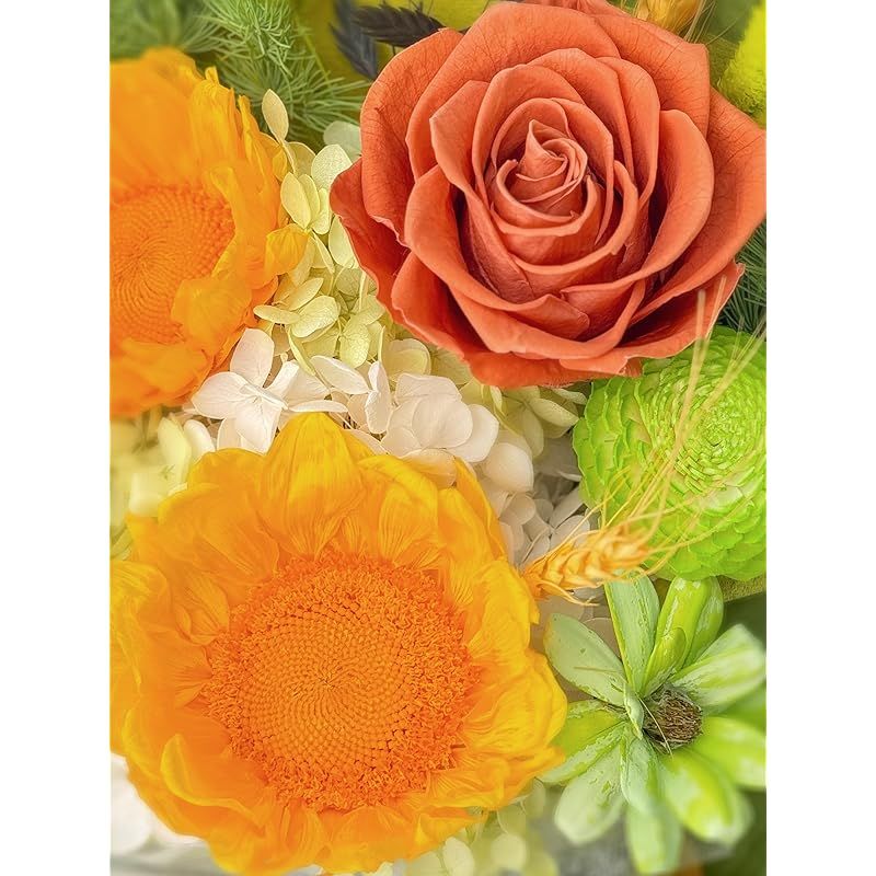 ☆彡Fiorifiore 2025新登場 プリザーブドフラワー ブーケ 薔薇