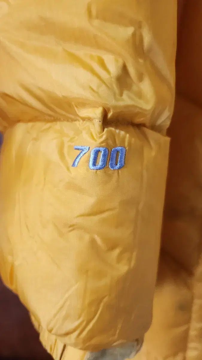 THE NORTH FACE ザノースフェイス ヌプシ グースロングダウン 700