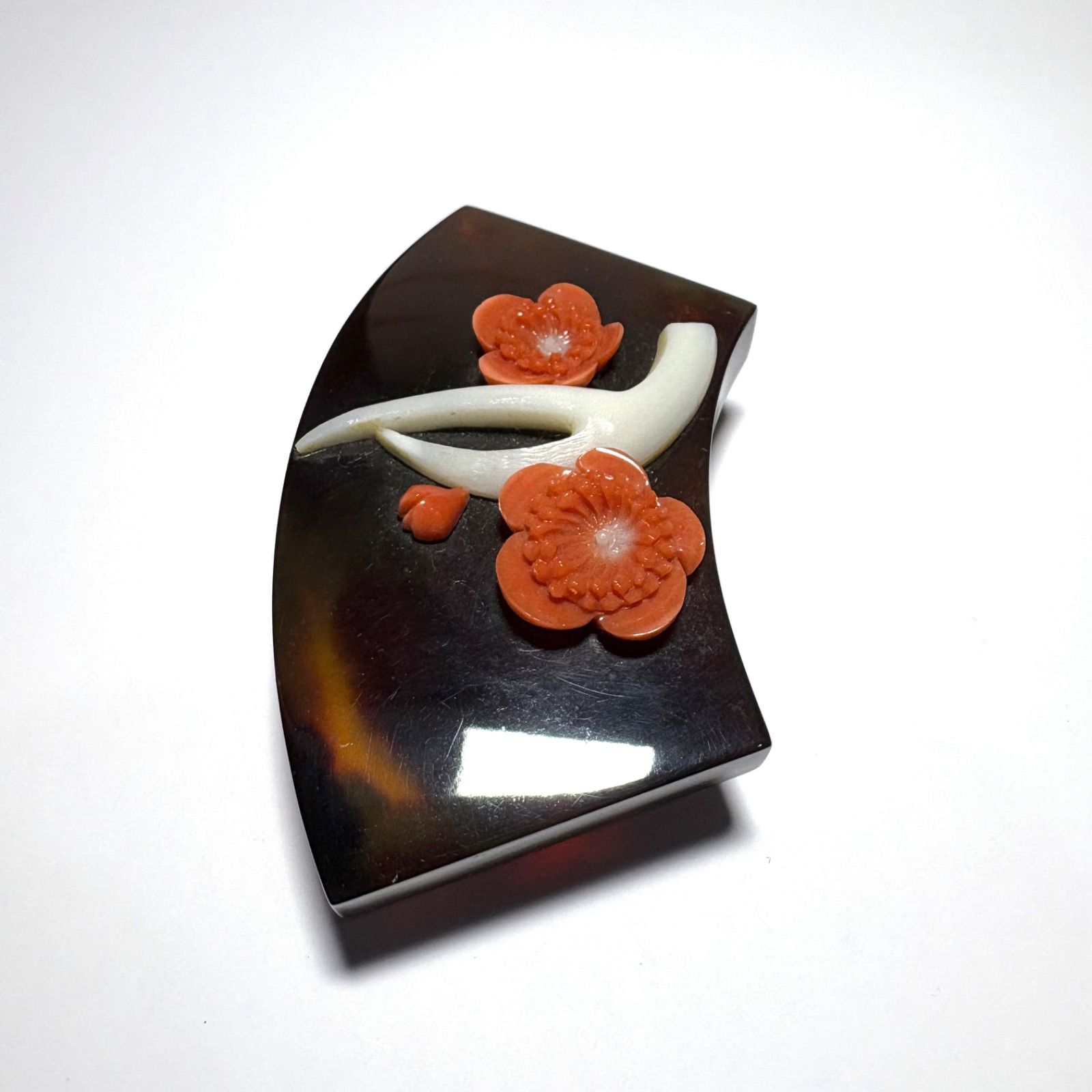 本鼈甲 天然珊瑚