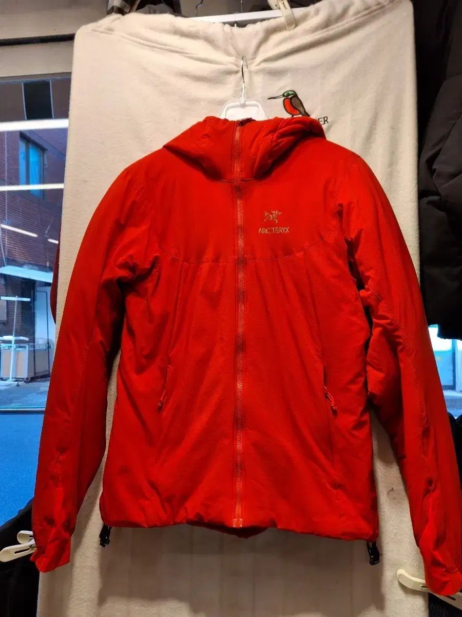 ARC TERYX アークテリクス 赤 フード ジャケット