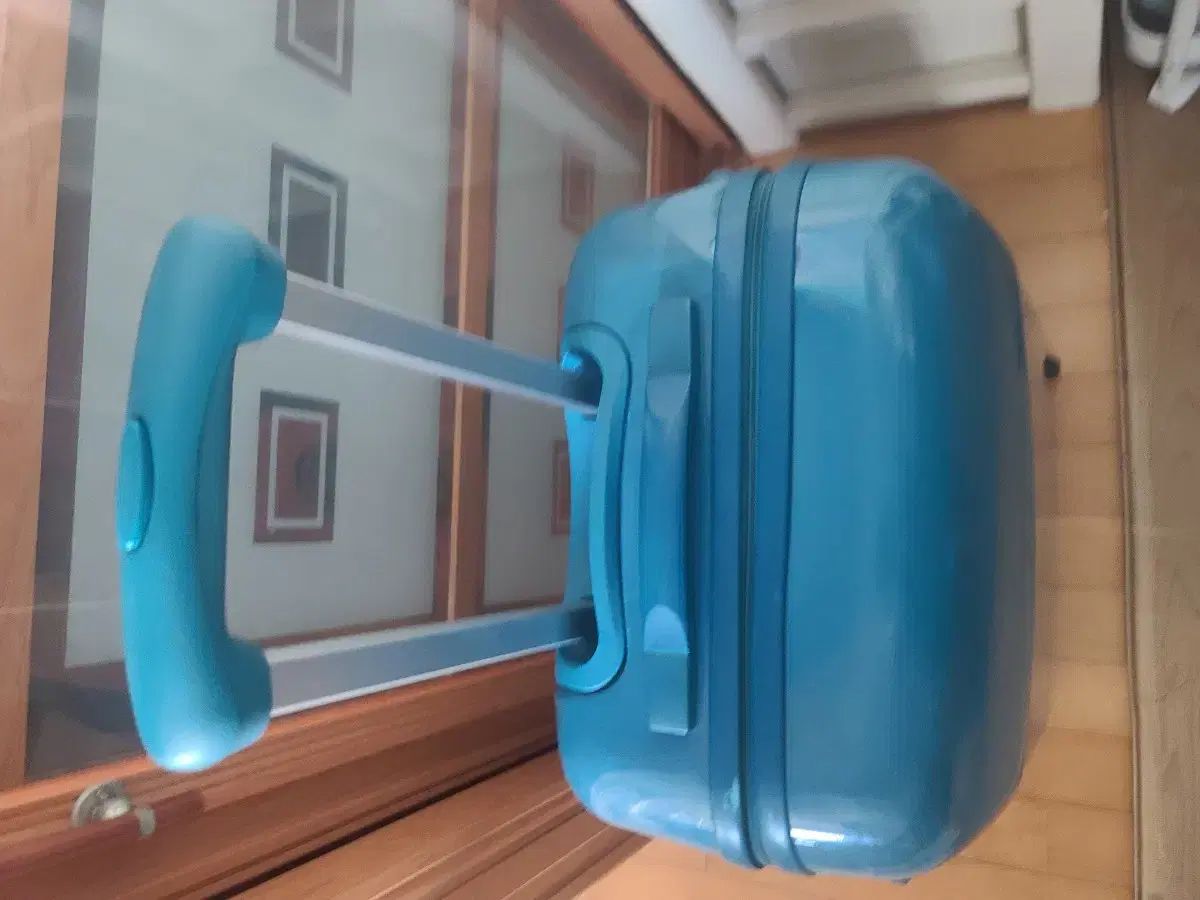 キャリアー 中型 24-25インチ 旅行用