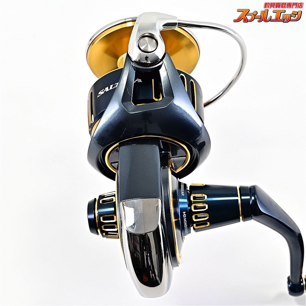 ダイワ 25ソルティガ