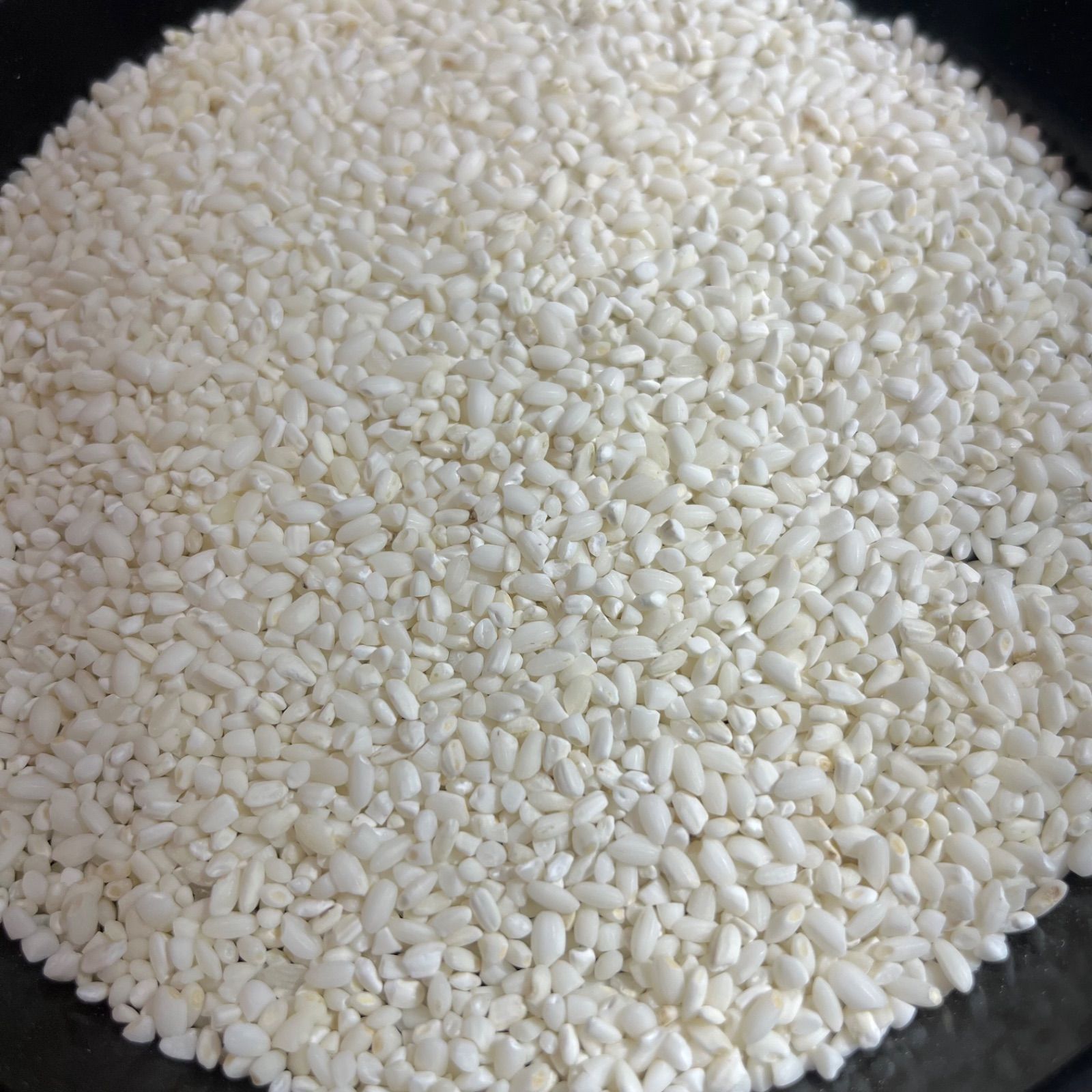 令和7年産 岡山県産もち米 20kg 精米 - メルカリ