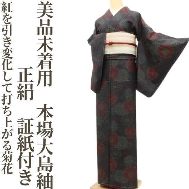 ✾まめ藤✾美品未着用 正絹 着物 証紙付き“紅を引き、変化して打ち