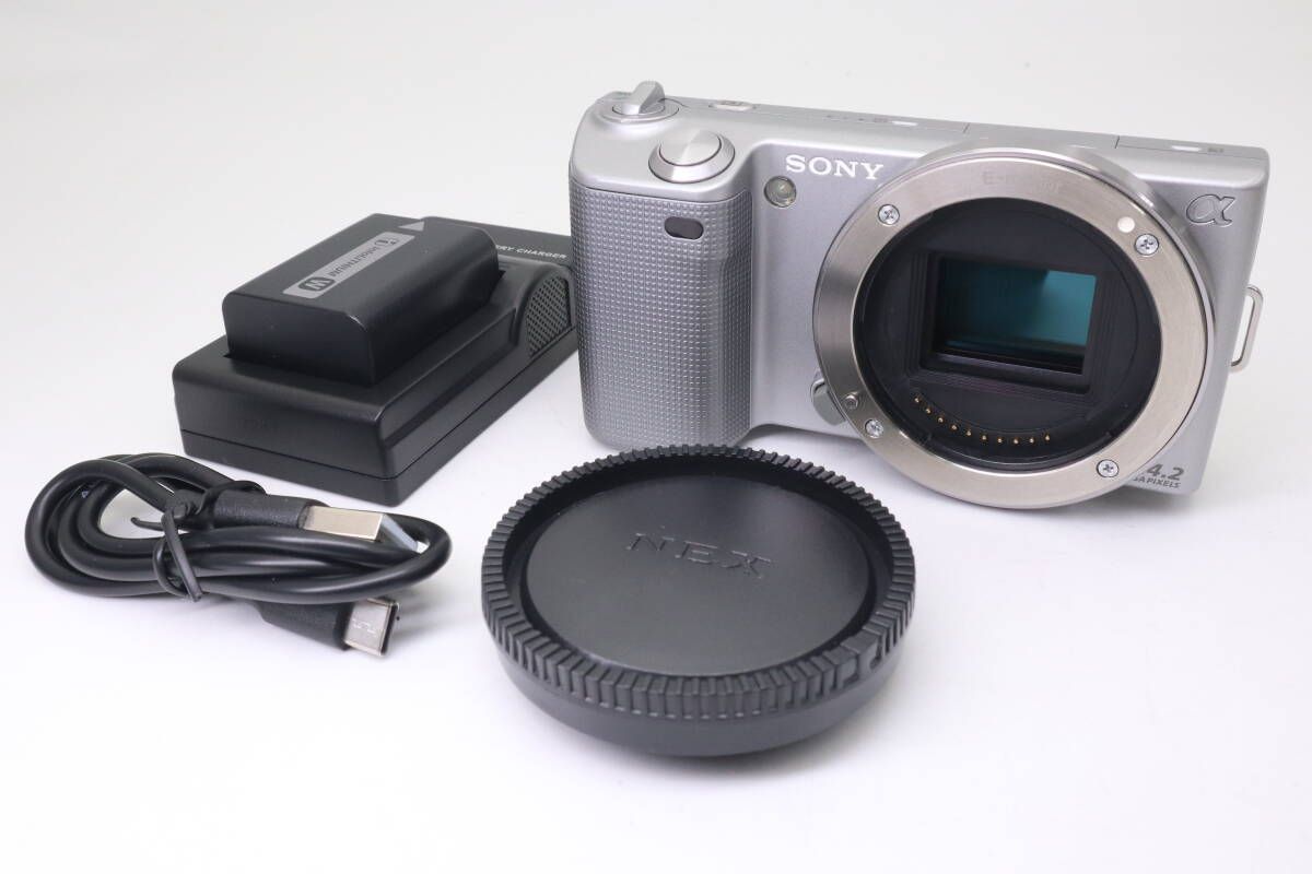 SONY α NEX-5 ソニー ミラーレス一眼 シルバー (f11387) - メルカリ