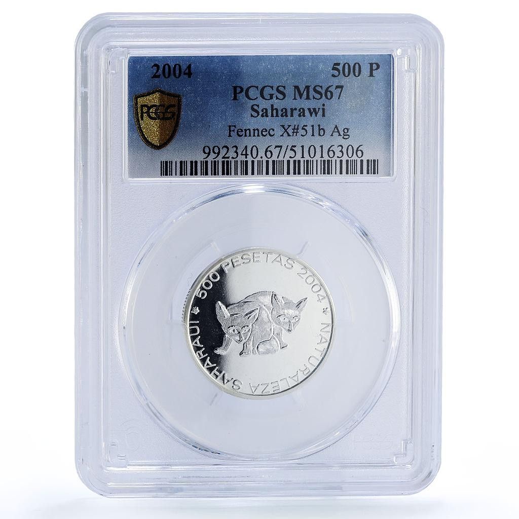 サハラウィ 500ペセタ フェネックギツネ サハラ砂漠 自然 動物 MS 67 PCGS 銀貨 2004