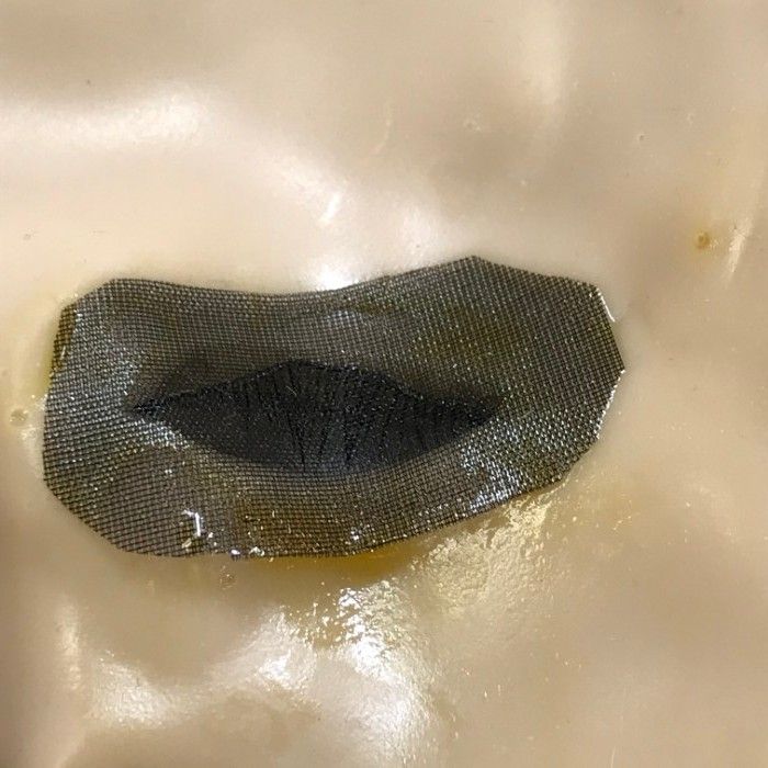 Gackt ライフマスク 2004年 ツアーグッズ 本人型取り 桐箱入り PVC製