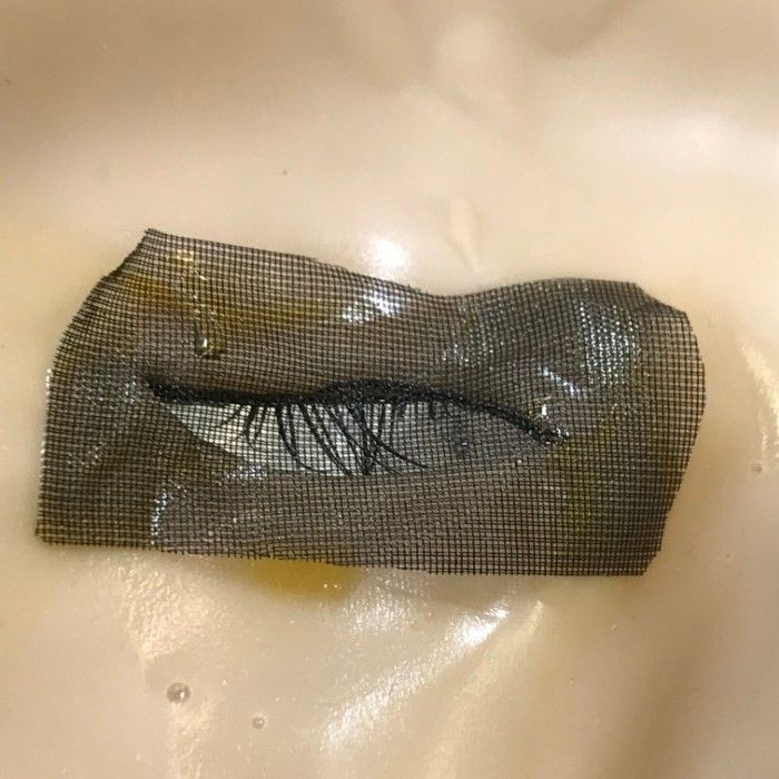 Gackt ライフマスク 2004年 ツアーグッズ 本人型取り 桐箱入り PVC製