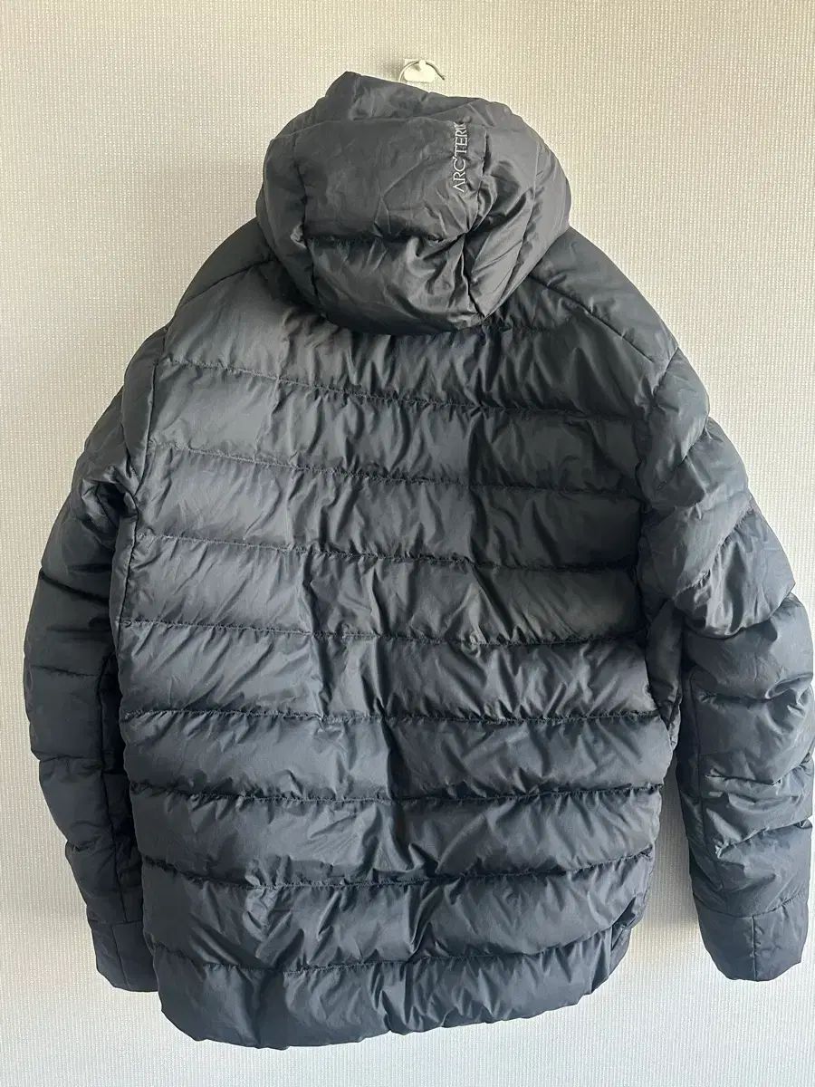 ARC TERYX アークテリクス トーrium AR フーディー L