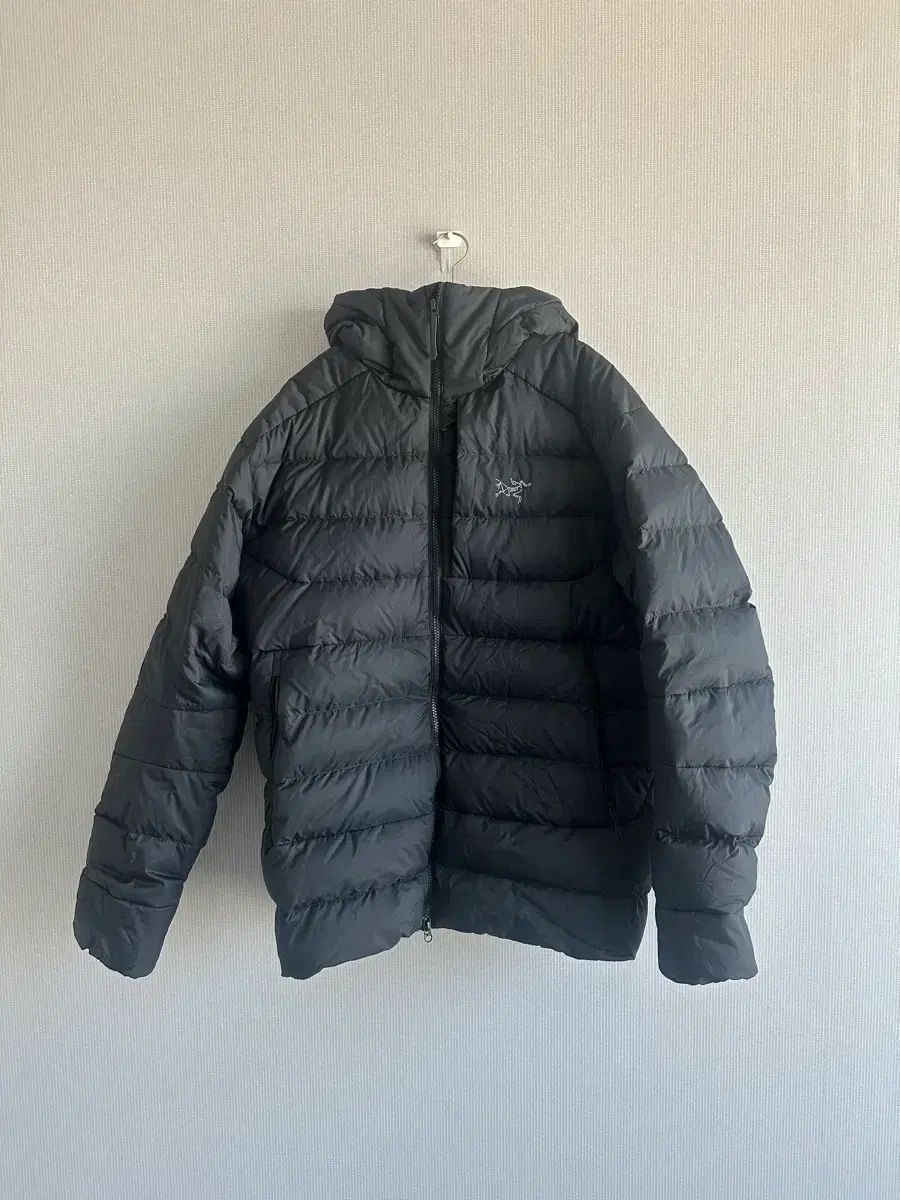 ARC TERYX アークテリクス トーrium AR フーディー L