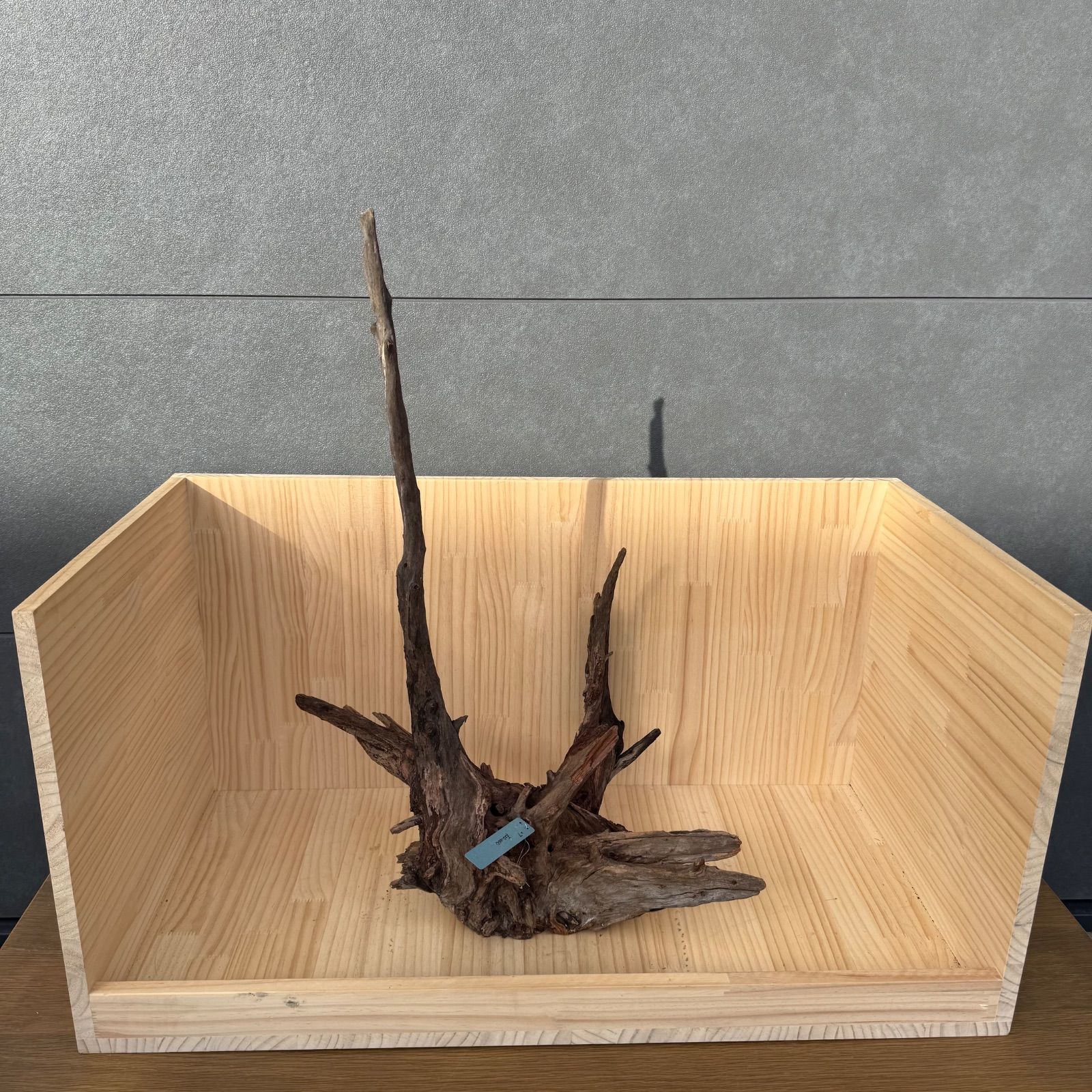 セレクト流木 現物発送 120401