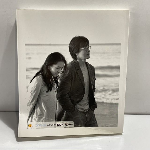 ペ・ヨンジュン BYJ FAMILY BOOK 四月の雪 ビジュアルストーリーブック