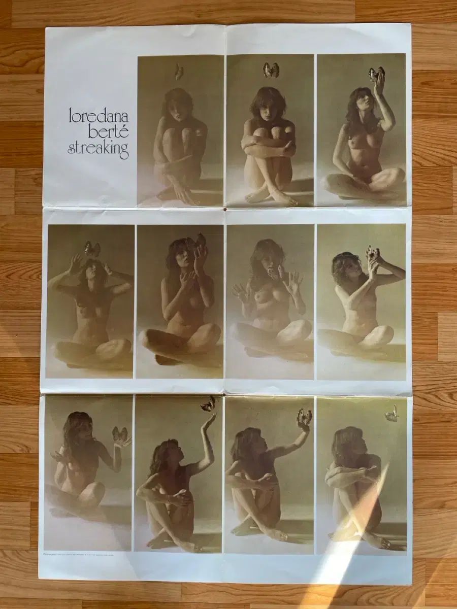 Loredana berte イタリア カンチョーネ ヌードカバー Lp