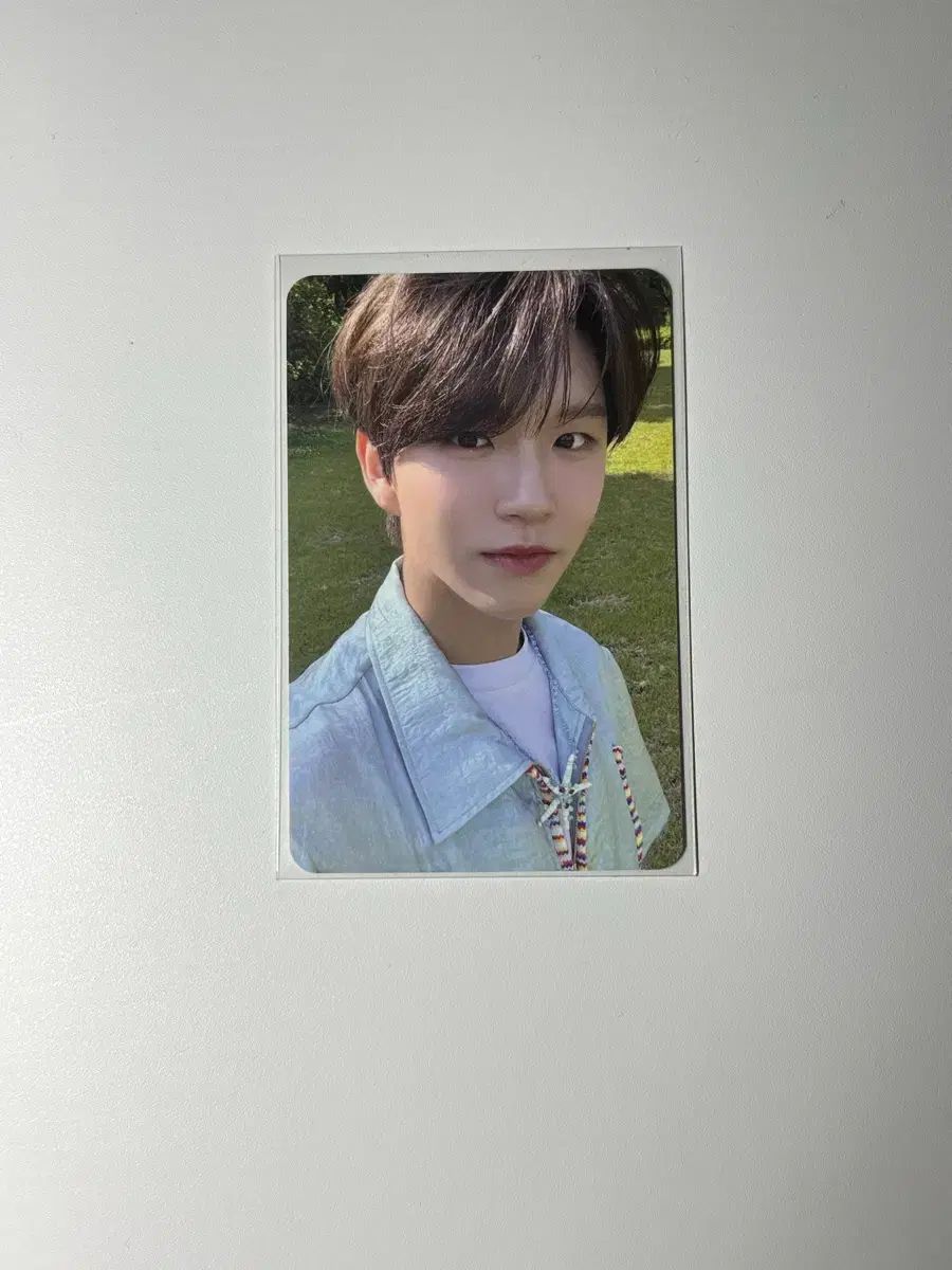 NCT WISH(エヌシーティー ウィッシュ) ソングバード アルバムトレカ