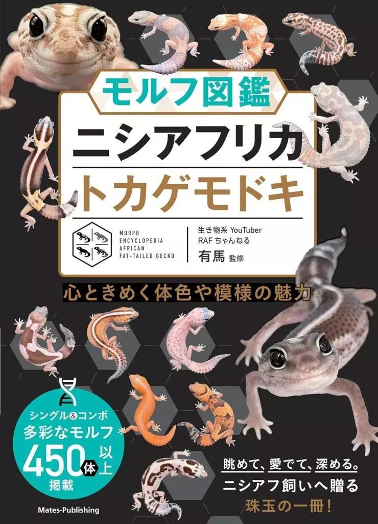 中古】単行本(実用) ≪生物科学・一般生物学≫ ビジュアル図鑑 ニシ