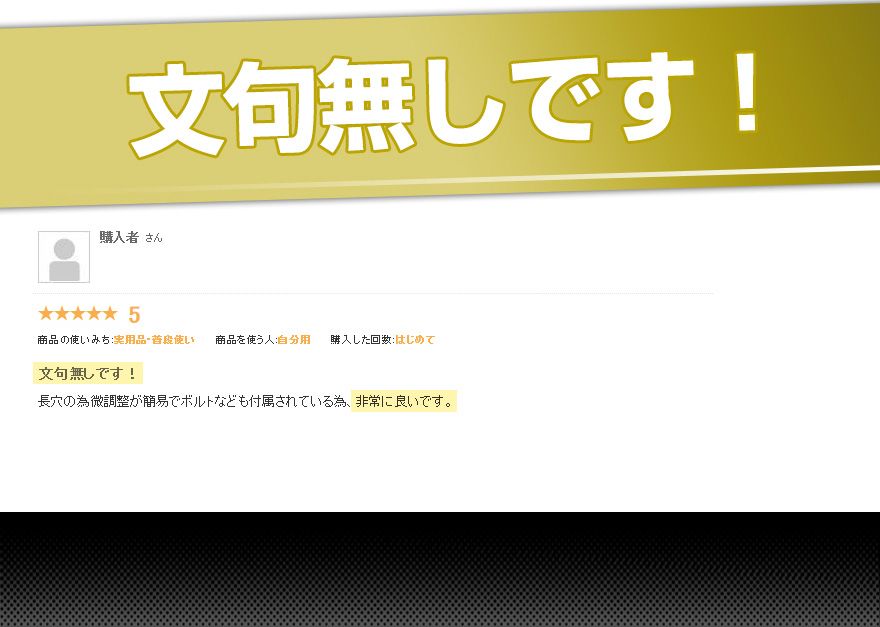 マフラーカッター アウトランダー 2本出し シルバー AX402 汎用