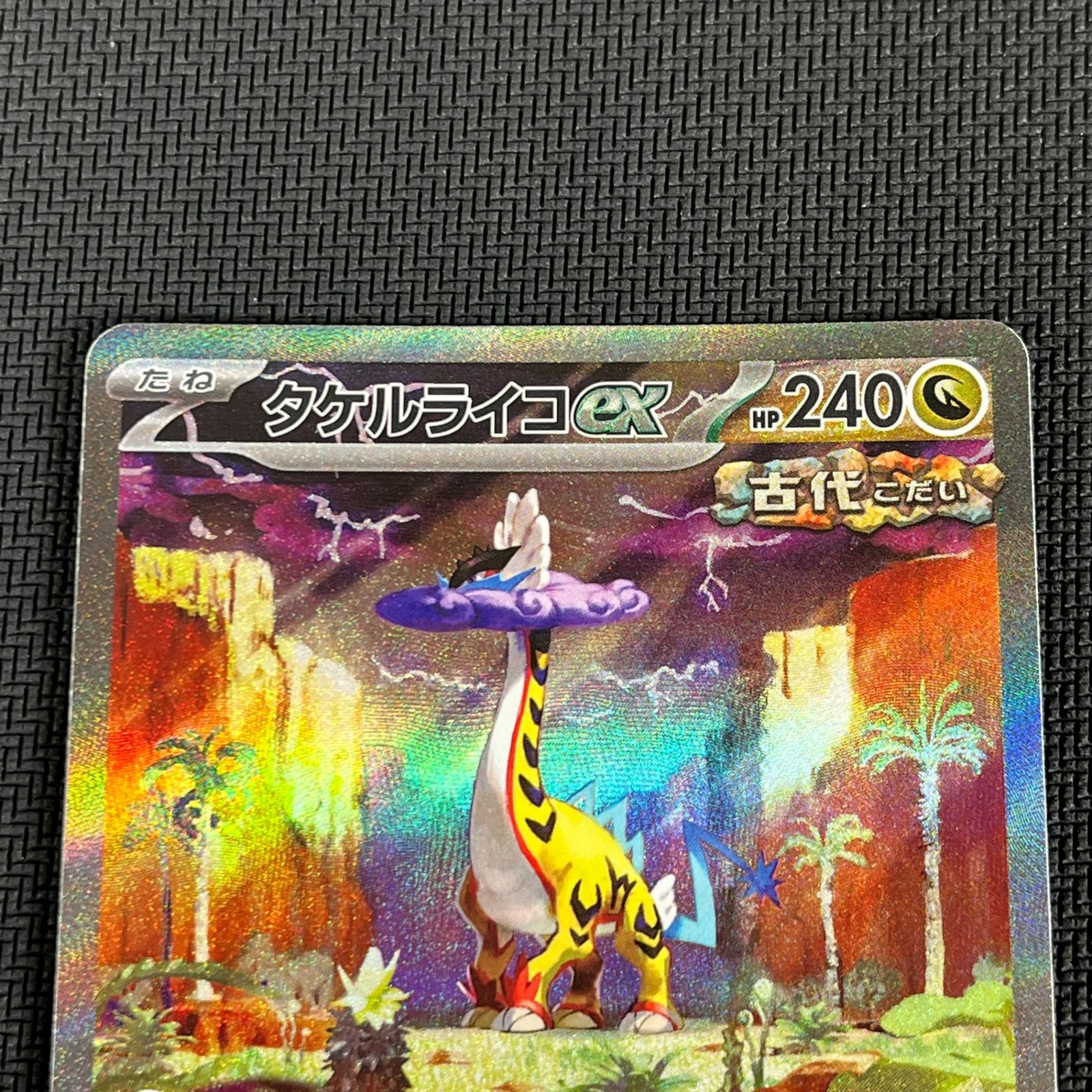 ポケカ タケルライコex SAR 095/071/SV5K/B ワイルドフォース - メルカリ