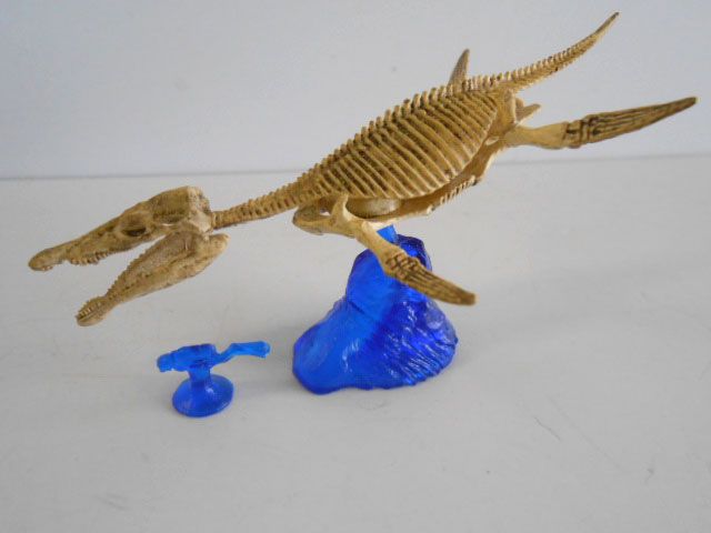 ♯Kui22CZカプセルQ恐竜発掘記プレシオサウルス人気1種 - メルカリ