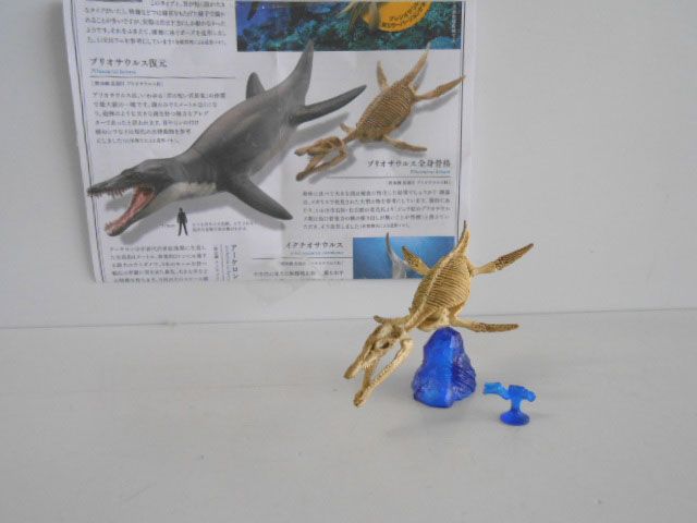 ♯Kui22CZカプセルQ恐竜発掘記プレシオサウルス人気1種 - メルカリ