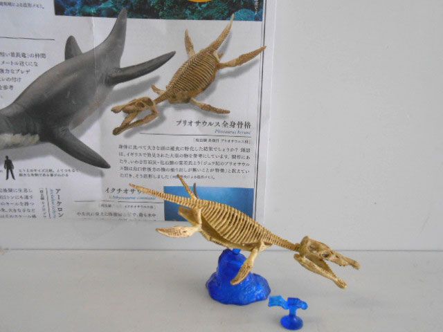 ♯Kui22CZカプセルQ恐竜発掘記プレシオサウルス人気1種 - メルカリ