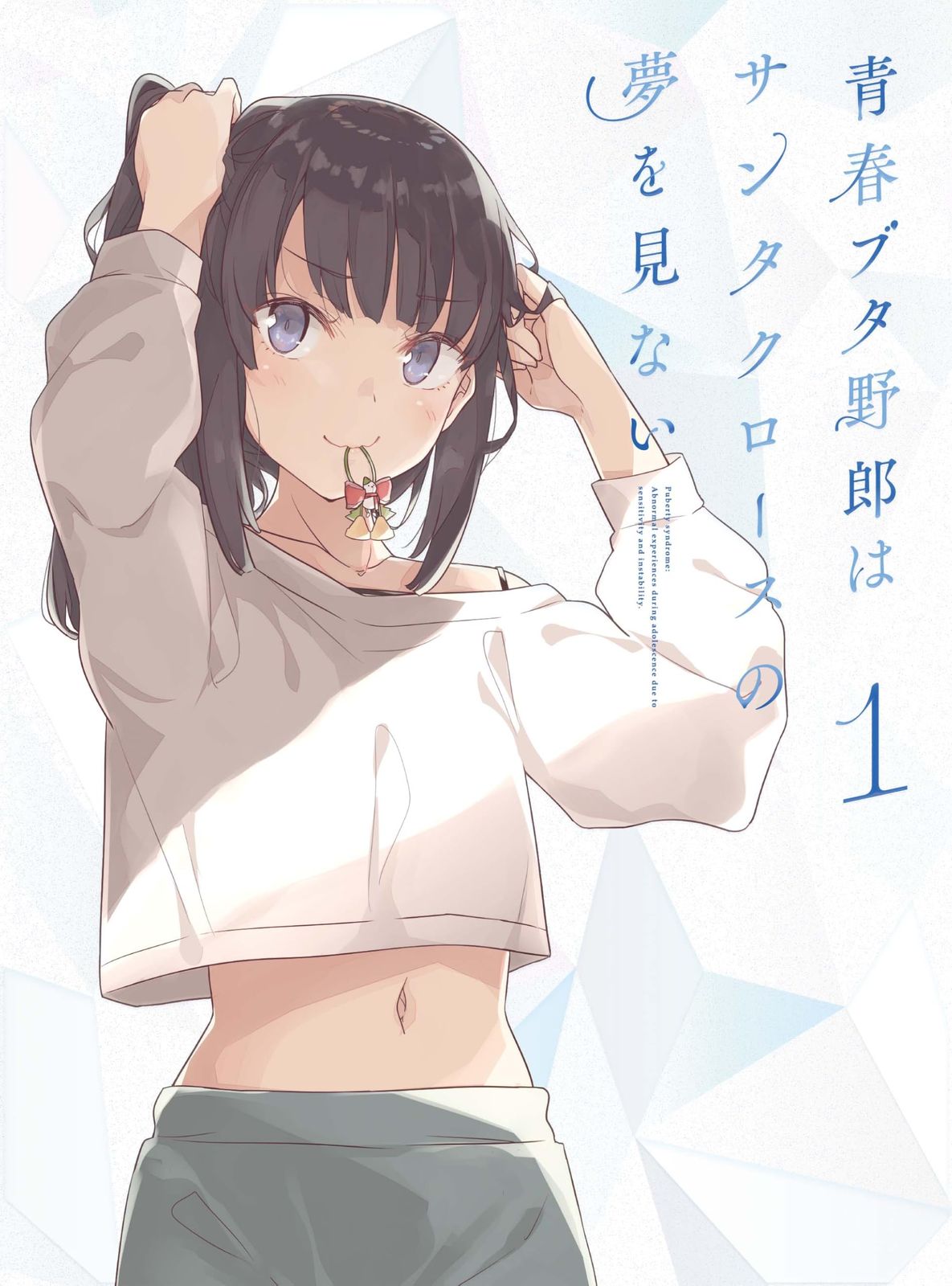 青春ブタ野郎はサンタクロースの夢を見ない 1 完全生産 版 DVD 石川界人 出演 形式