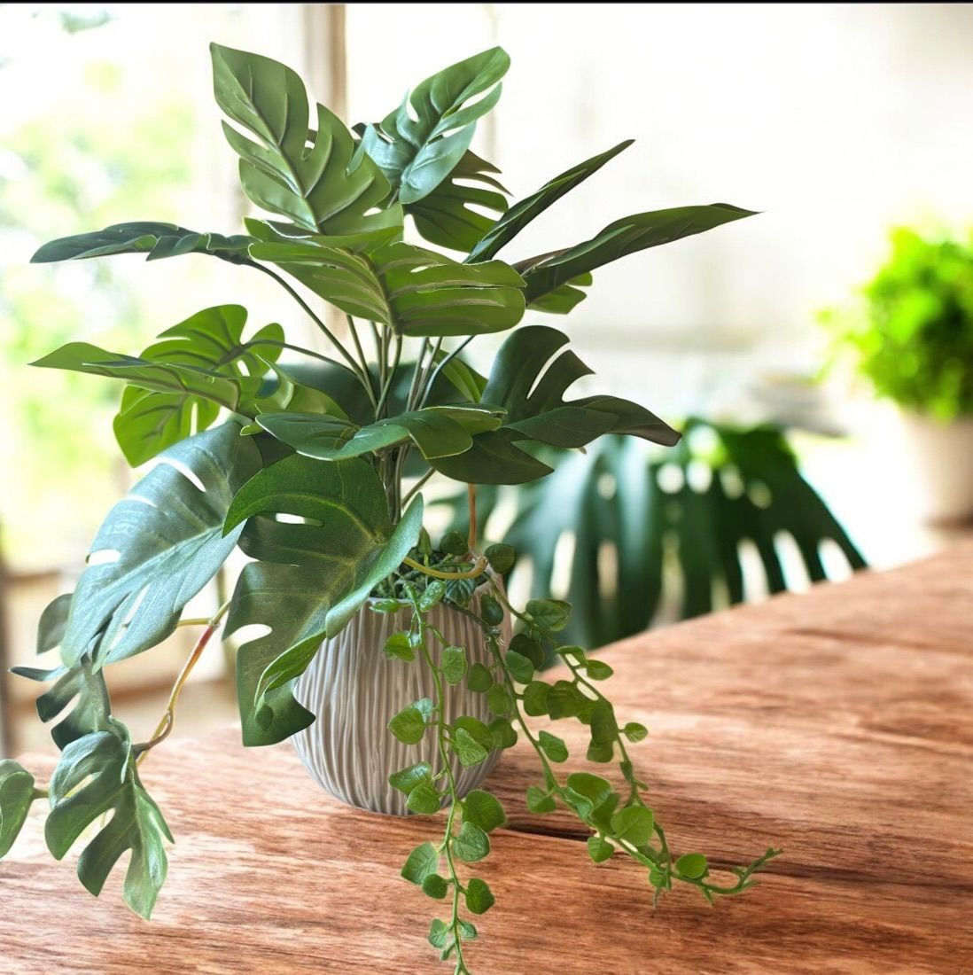 光触媒 人工観葉植物 ウォールグリーン フェイクグリーン モンステラと