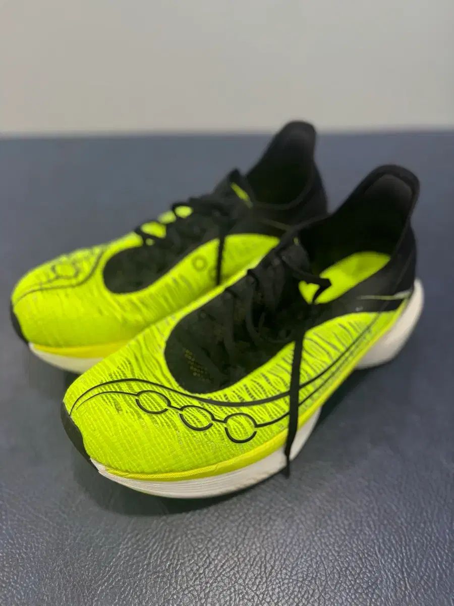 サッカニー エンドルフィン エリート2 280