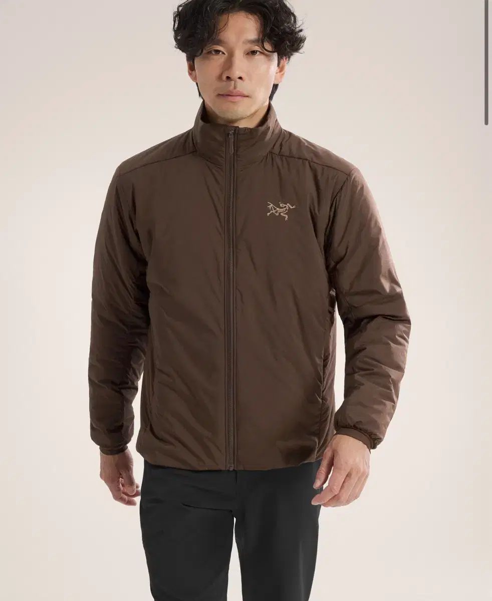 ARC TERYX アークテリクス Atom アトム SV キャロブ色 Lサイズ