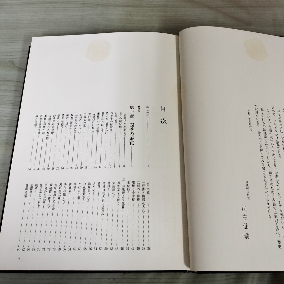 茶花入門 田中仙翁 主婦の友社 昭和54年 1979年 初版 210069 - メルカリ