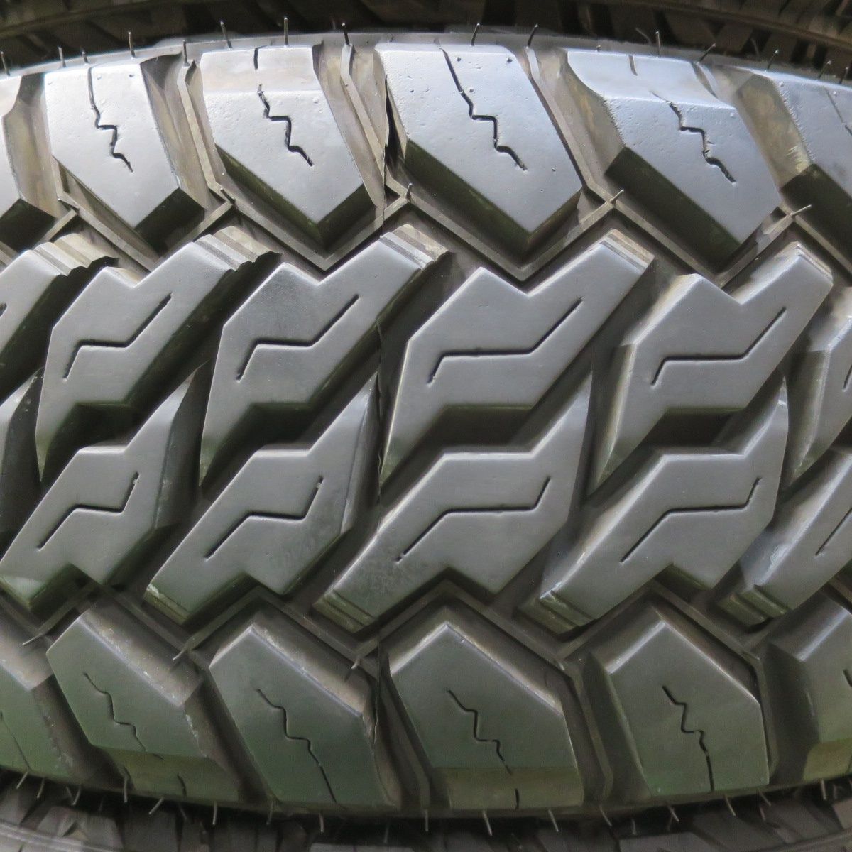 マッドウォーリアー