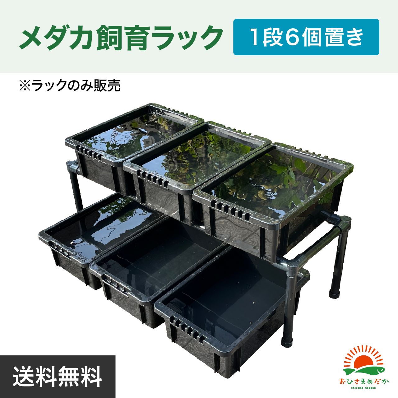 ☆メダカ飼育ラック 黒1段6個置き☆ めだか飼育棚 NVBOXビオトープ