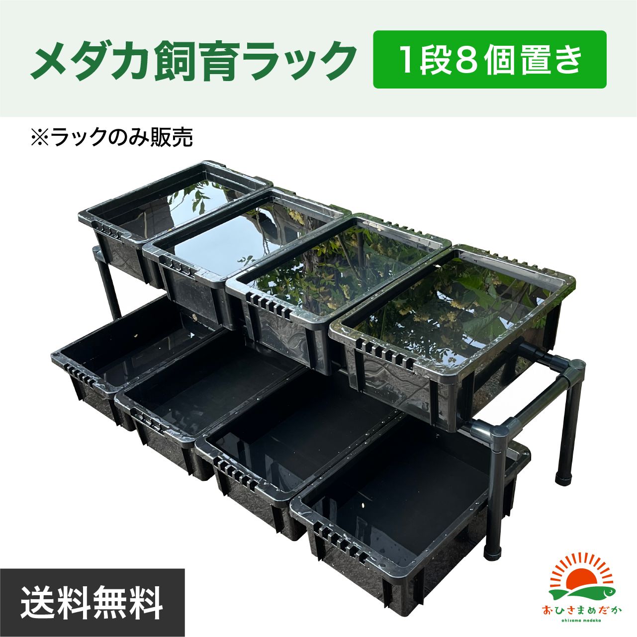 ☆メダカ飼育ラック 黒1段8個置き☆ めだか飼育棚 NVBOXビオトープ