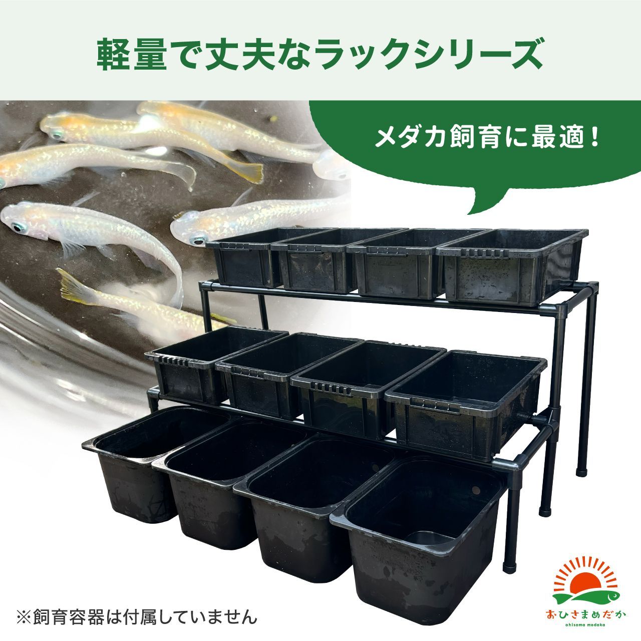 ☆メダカ飼育ラック 黒2段12個置き☆ めだか飼育棚 NVBOXビオトープ