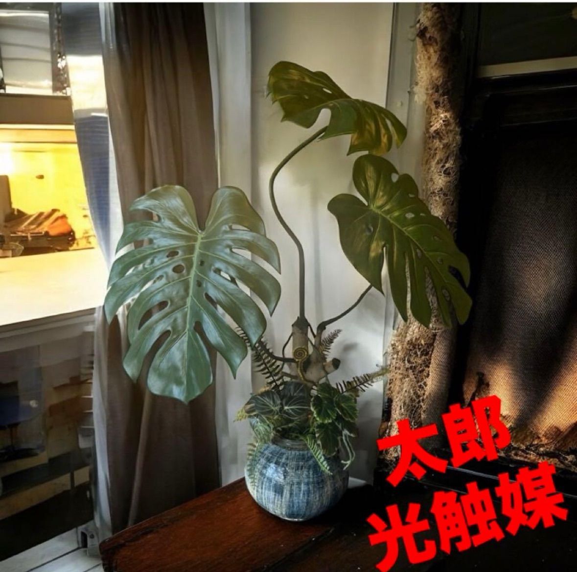 光触媒 人工観葉植物 ウォールグリーン フェイクグリーン モンステラ