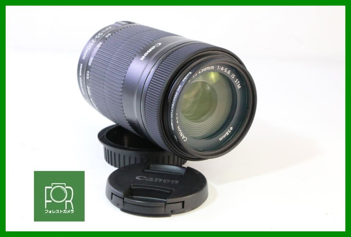 点検済 上品 CANON ZOOM EF S 55 250 mm F 4 5 6 IS STM 前後キャップ フィルター付き AD 225