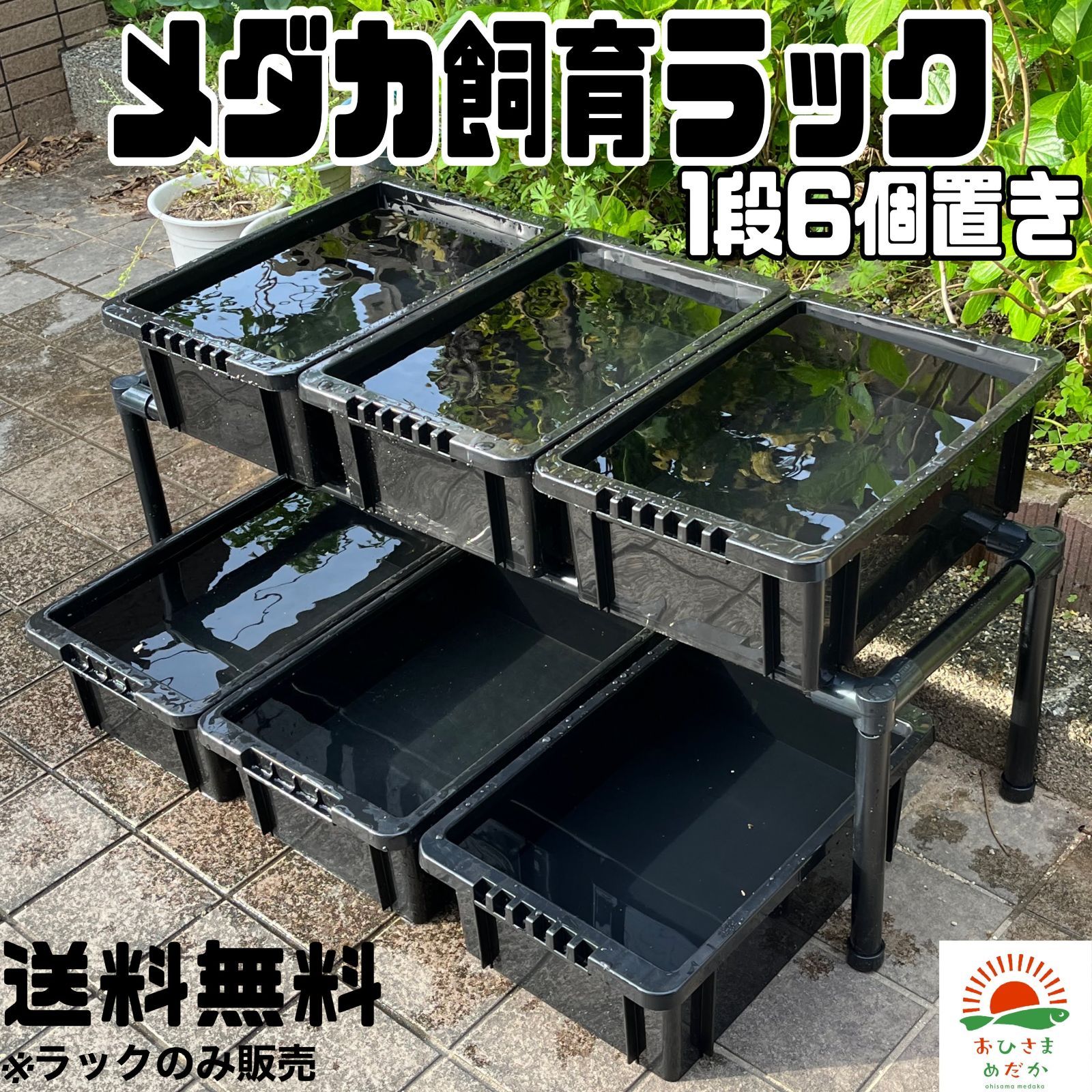 ☆メダカ飼育ラック 黒1段6個置き☆ めだか飼育棚 NVBOXビオトープ
