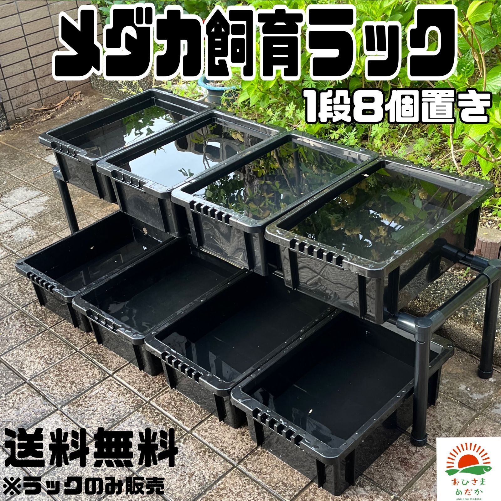 ☆メダカ飼育ラック 黒1段8個置き☆ めだか飼育棚 NVBOXビオトープ